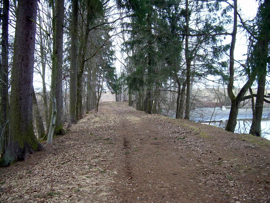 Malikovska 25.3.2011.