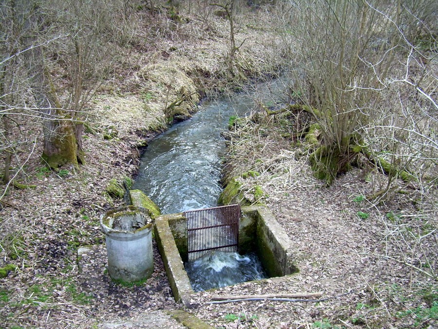 Malikovska 25.3.2011.