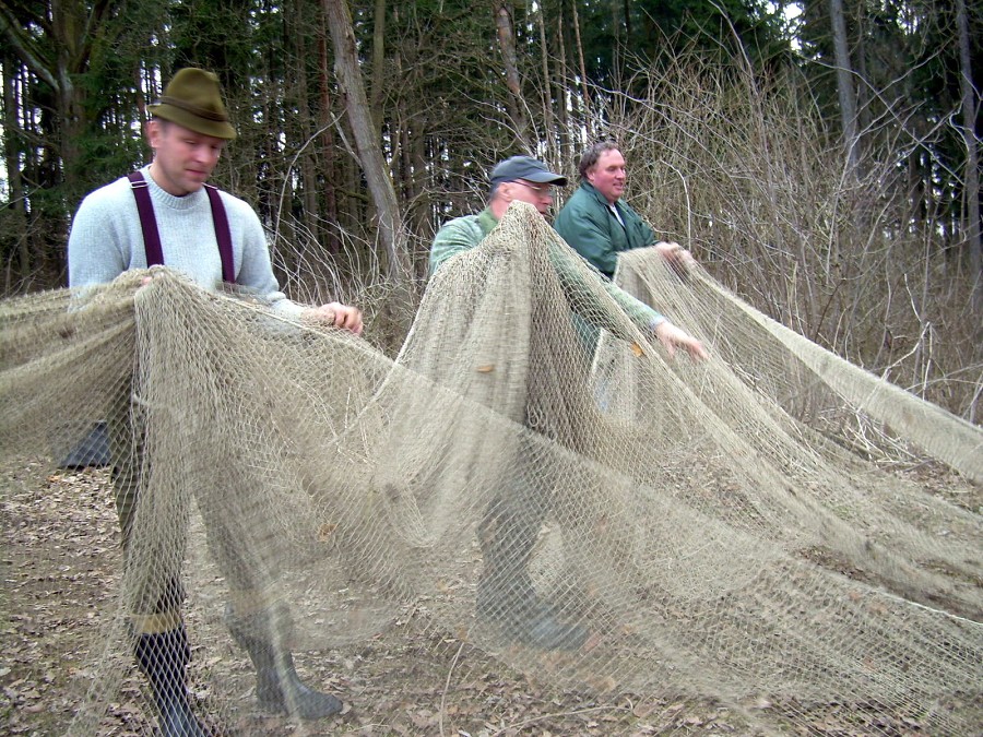 Malikovska 25.3.2011.
