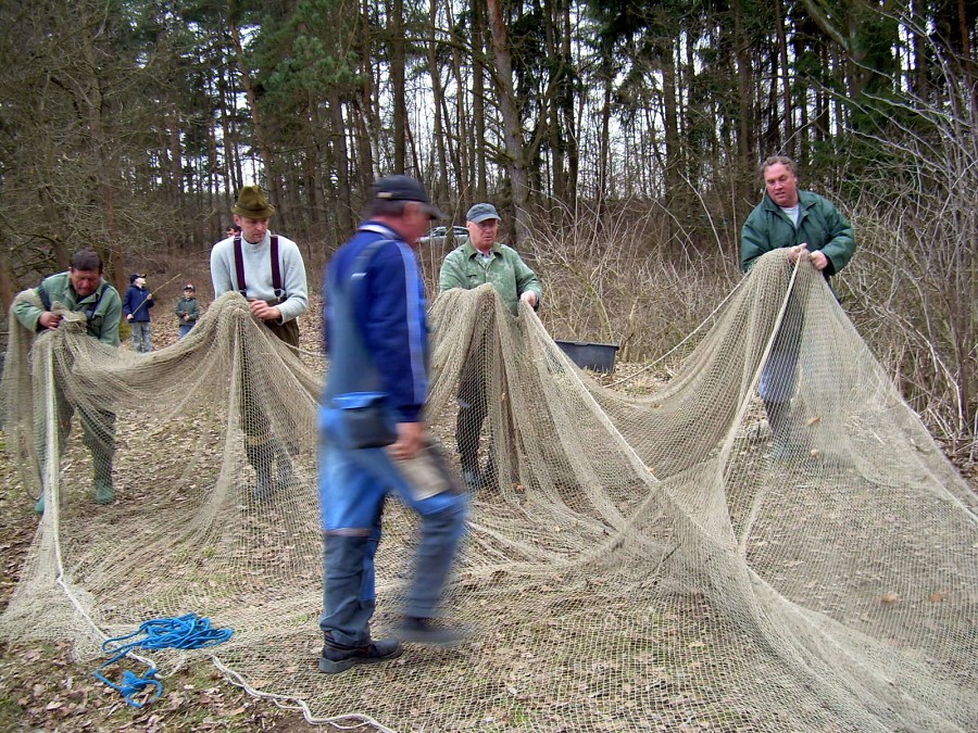 Malikovska 25.3.2011.