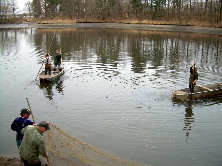 Malikovska 25.3.2011.