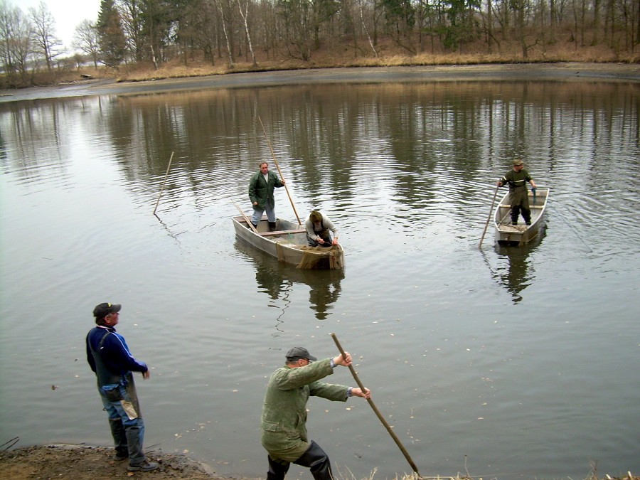 Malikovska 25.3.2011.