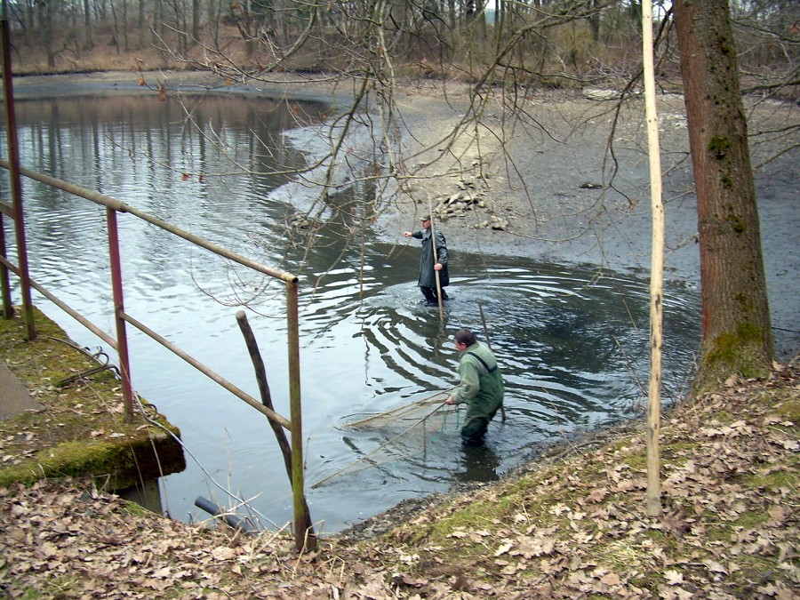 Malikovska 25.3.2011.