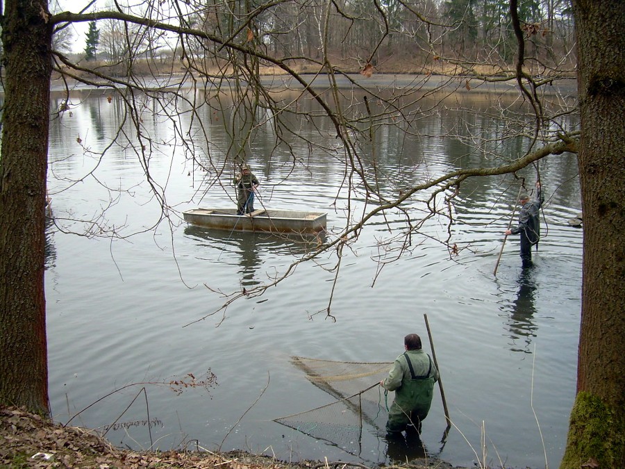 Malikovska 25.3.2011.