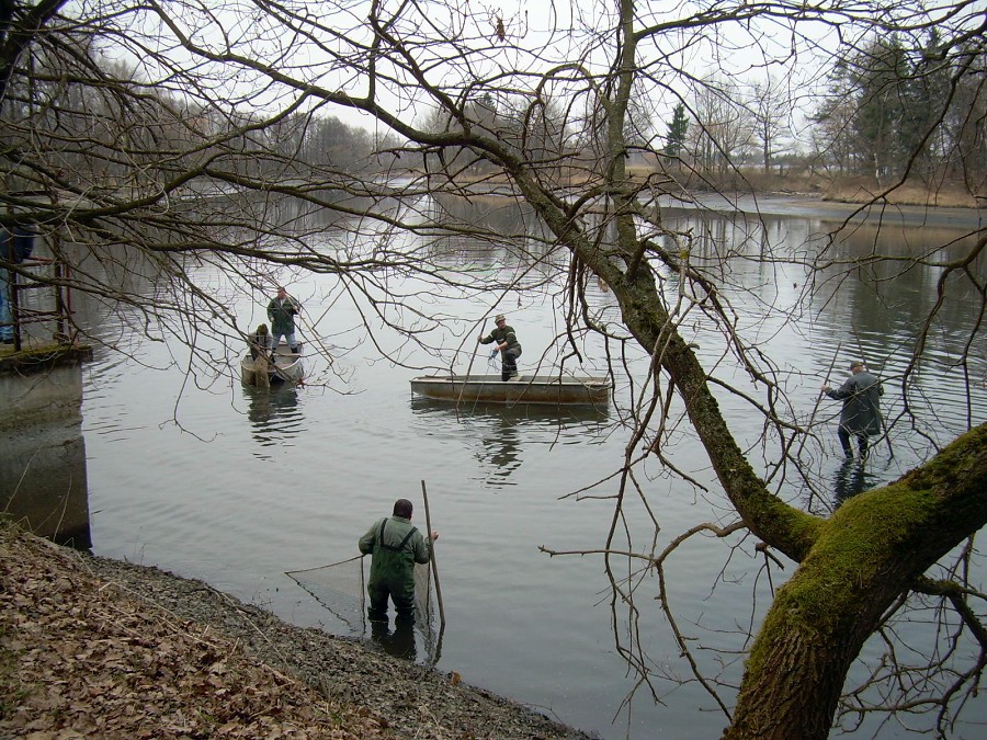 Malikovska 25.3.2011.