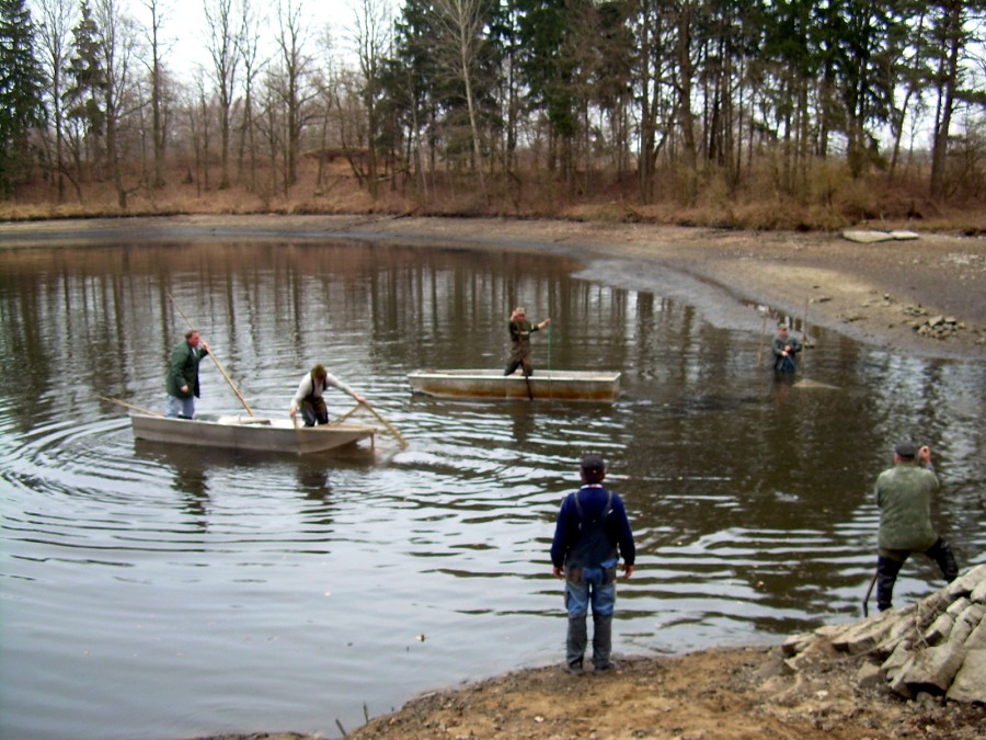 Malikovska 25.3.2011.
