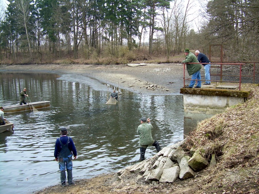 Malikovska 25.3.2011.