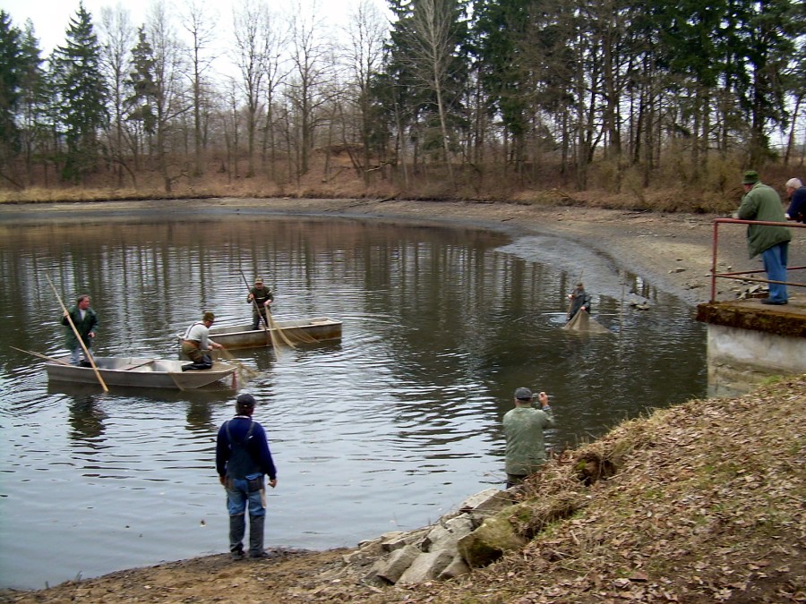 Malikovska 25.3.2011.