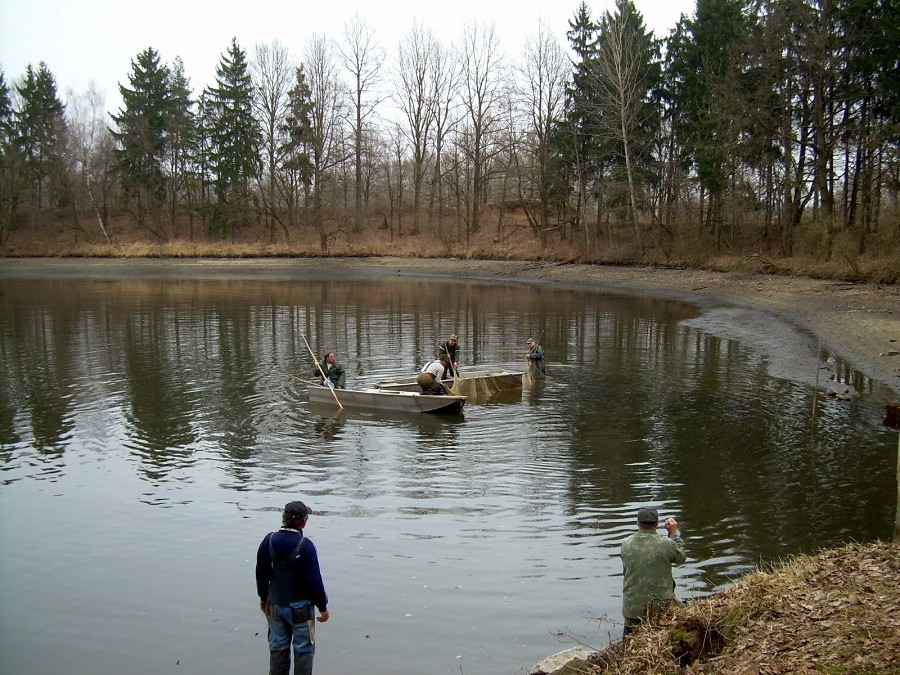 Malikovska 25.3.2011.