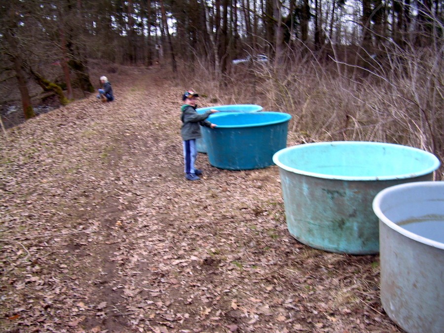 Malikovska 25.3.2011.