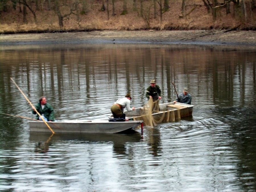 Malikovska 25.3.2011.