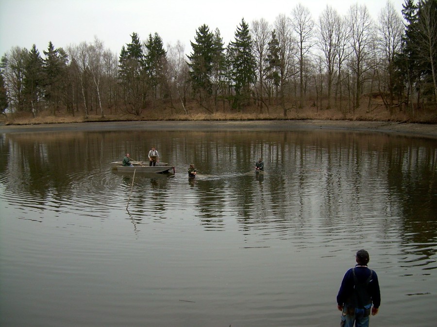 Malikovska 25.3.2011.
