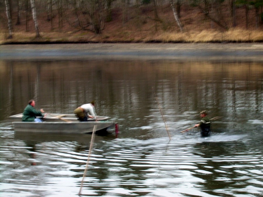 Malikovska 25.3.2011.