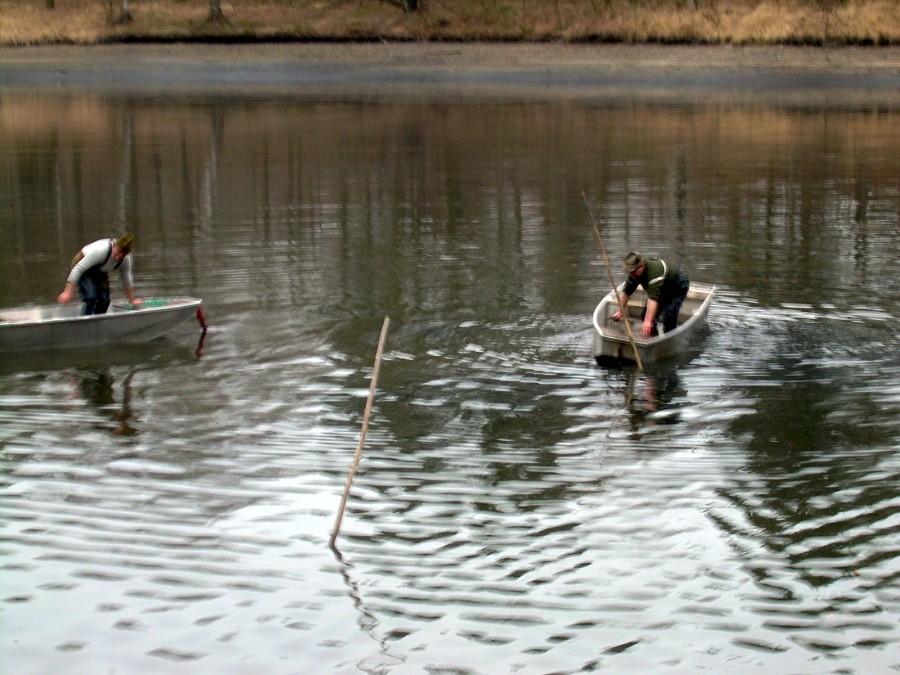 Malikovska 25.3.2011.