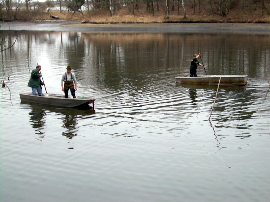 Malikovska 25.3.2011.