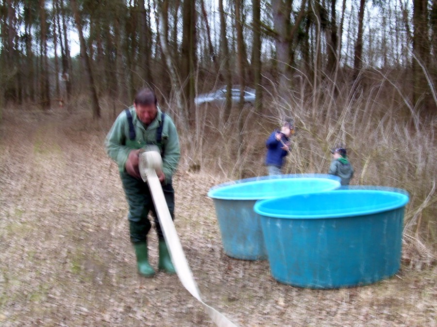 Malikovska 25.3.2011.