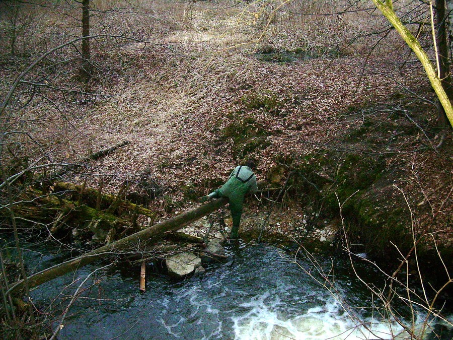 Malikovska 25.3.2011.