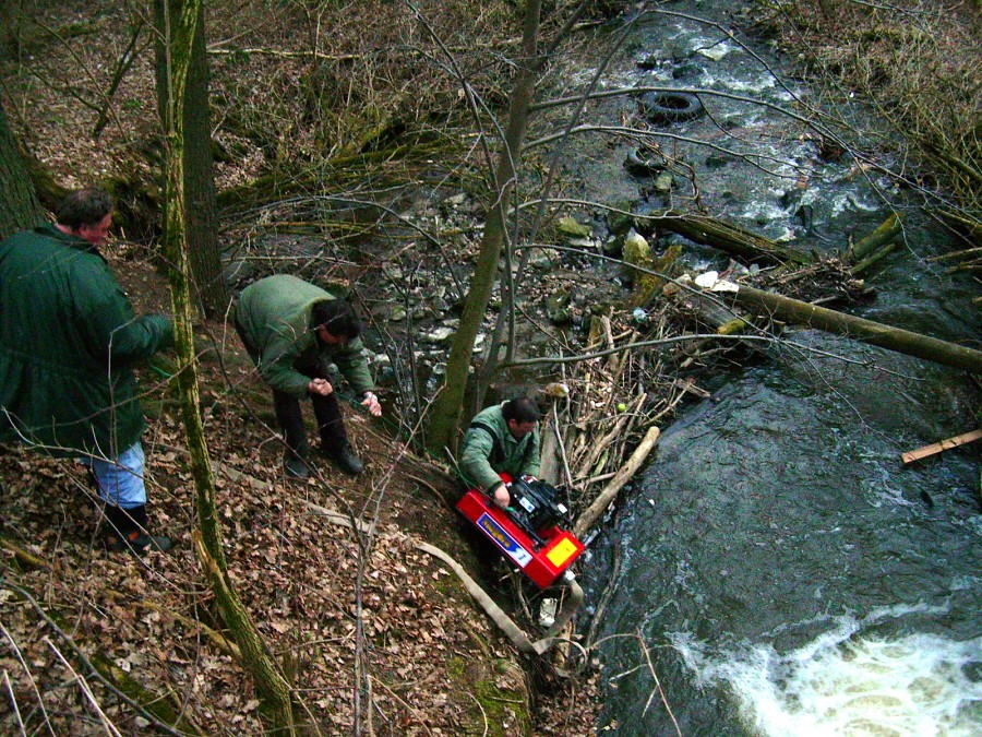 Malikovska 25.3.2011.