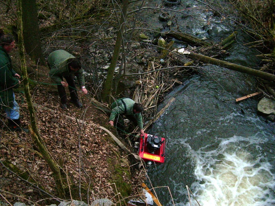 Malikovska 25.3.2011.