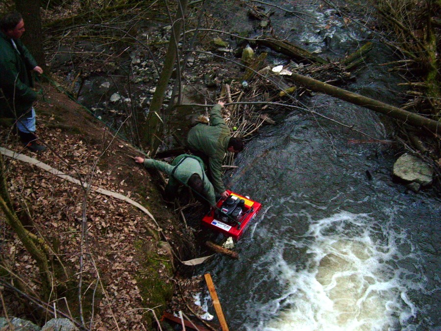 Malikovska 25.3.2011.