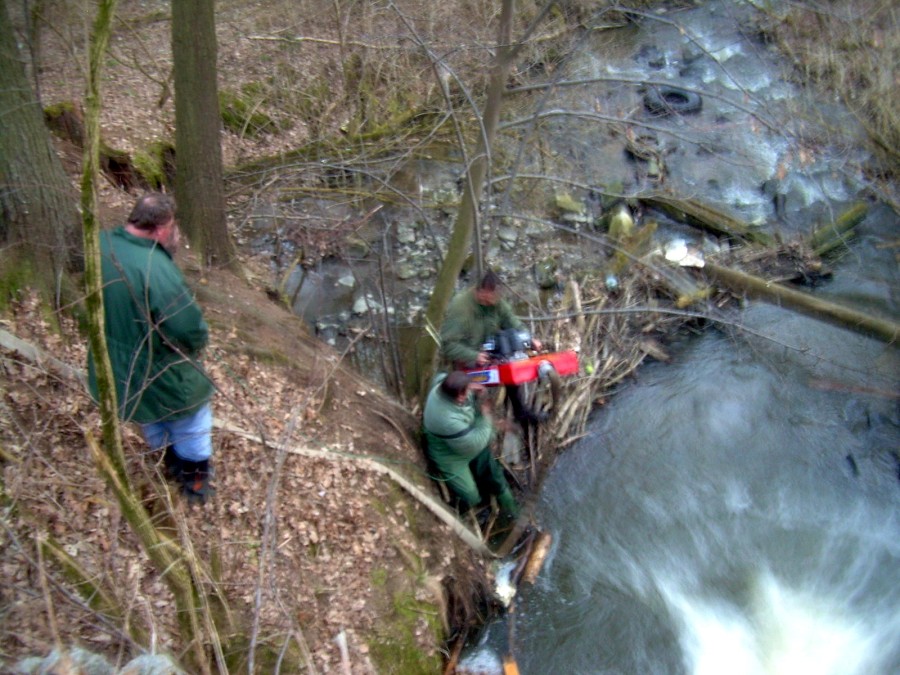 Malikovska 25.3.2011.