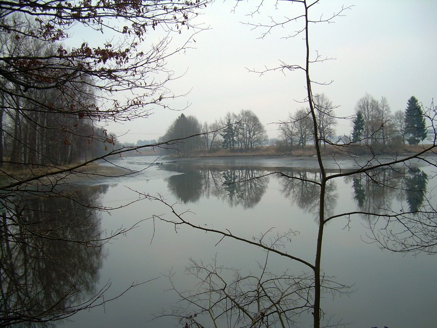 Malikovska 26.3.2011.