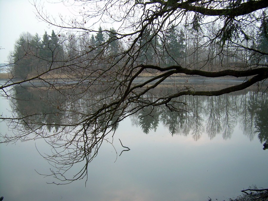 Malikovska 26.3.2011.