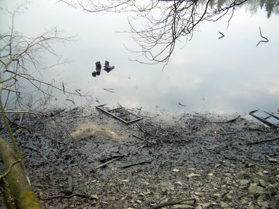 Malikovska 26.3.2011.