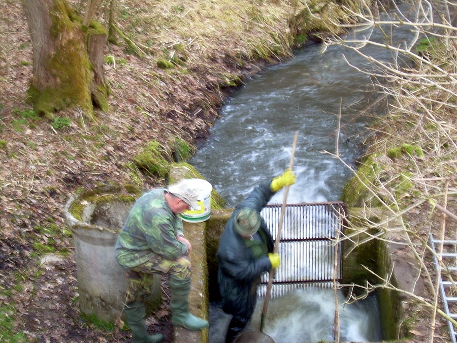 Malikovska 26.3.2011.