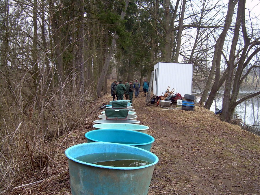 Malikovska 26.3.2011.