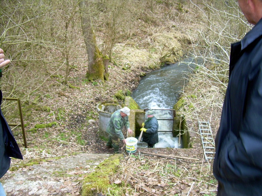 Malikovska 26.3.2011.