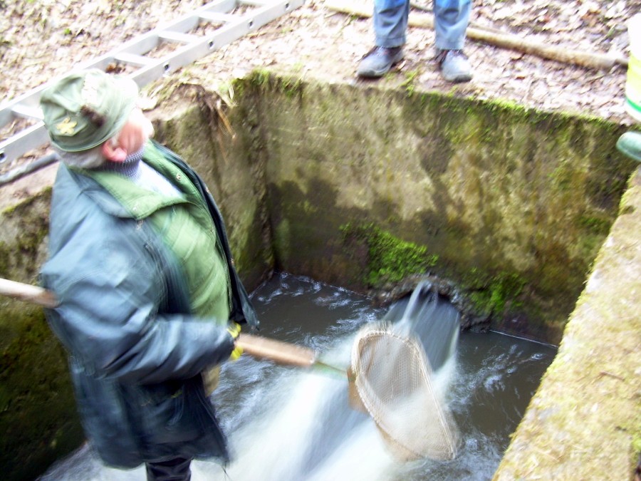 Malikovska 26.3.2011.