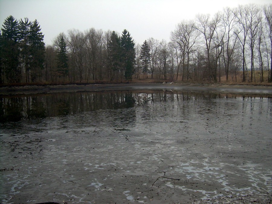 Malikovska 26.3.2011.