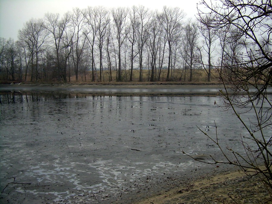 Malikovska 26.3.2011.