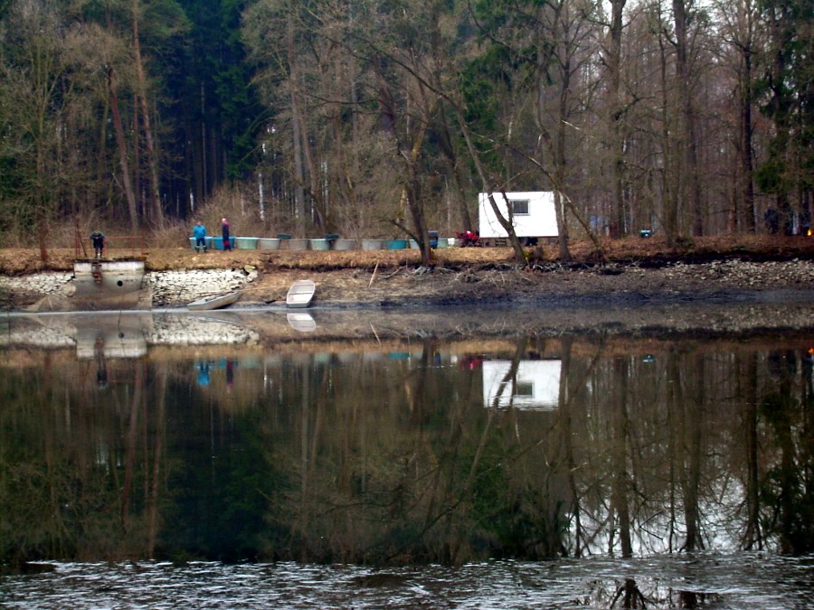 Malikovska 26.3.2011.