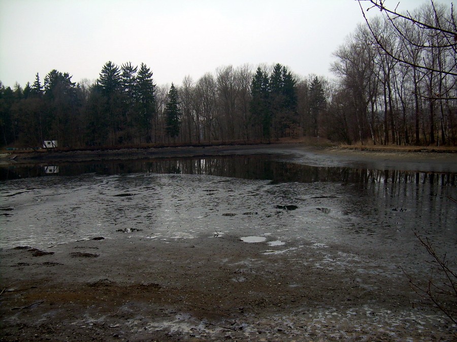 Malikovska 26.3.2011.