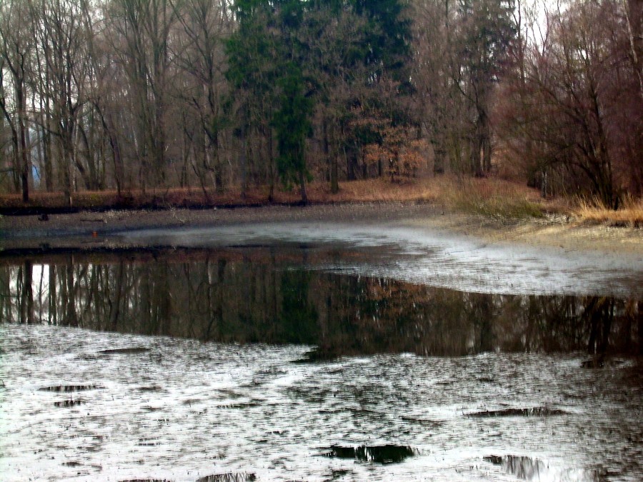 Malikovska 26.3.2011.