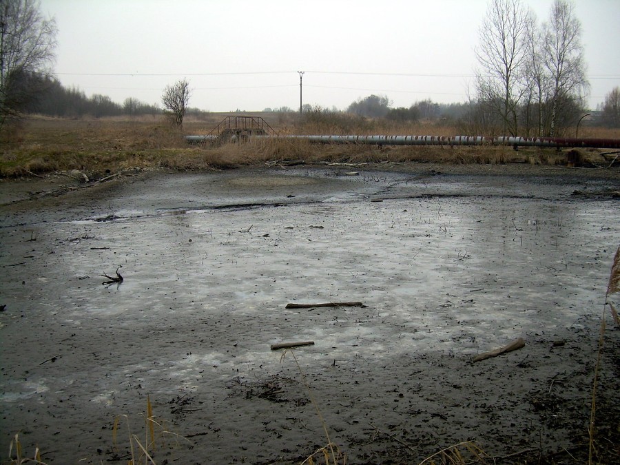 Malikovska 26.3.2011.