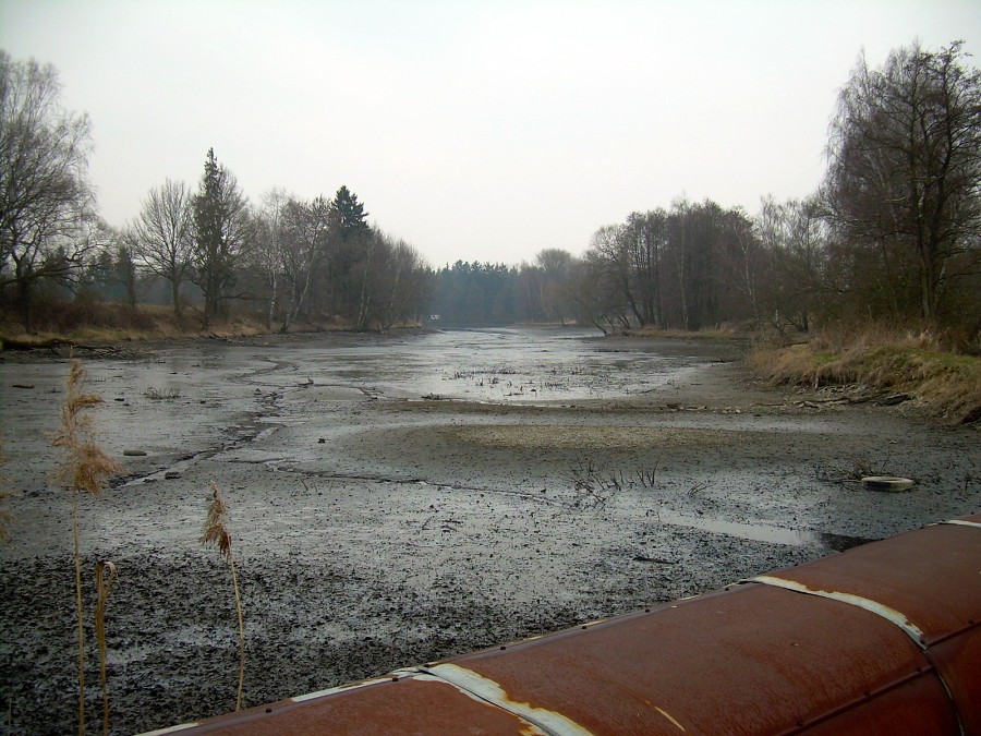 Malikovska 26.3.2011.