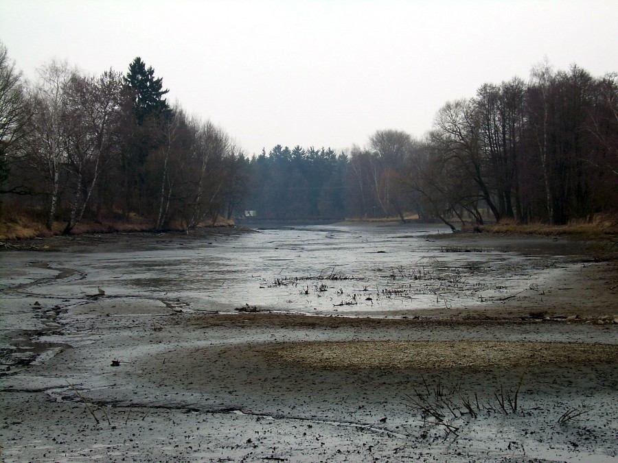 Malikovska 26.3.2011.