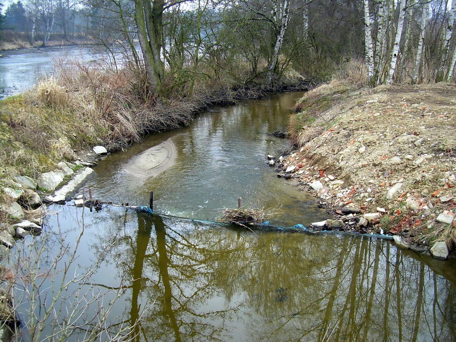Malikovska 26.3.2011.