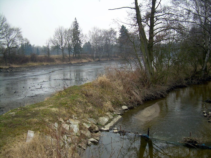 Malikovska 26.3.2011.