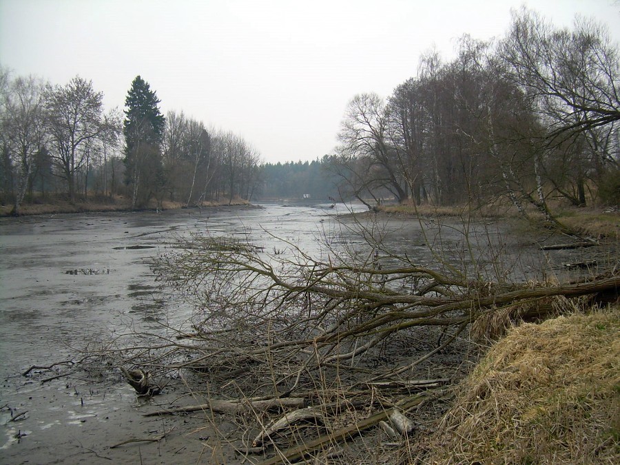 Malikovska 26.3.2011.