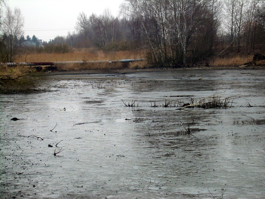 Malikovska 26.3.2011.