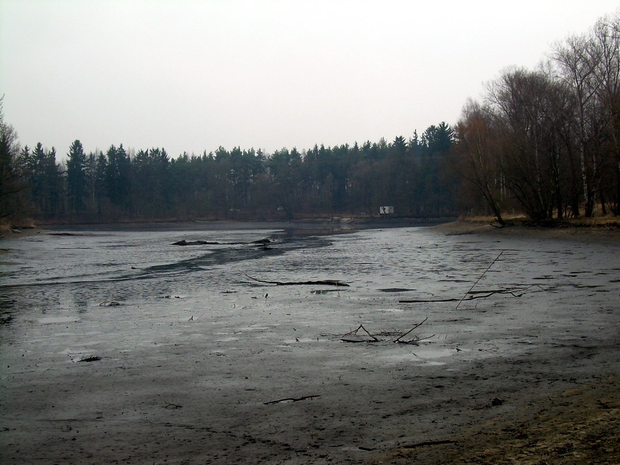 Malikovska 26.3.2011.