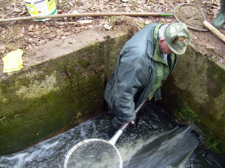 Malikovska 26.3.2011.