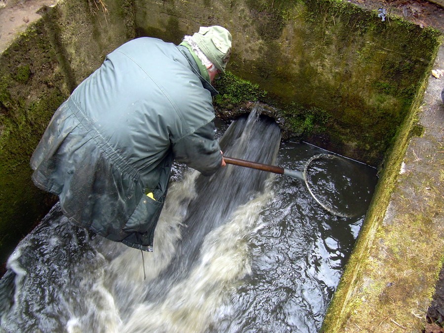 Malikovska 26.3.2011.