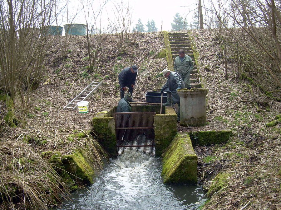 Malikovska 26.3.2011.