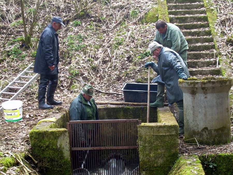 Malikovska 26.3.2011.