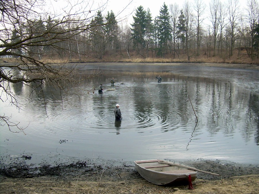 Malikovska 26.3.2011.